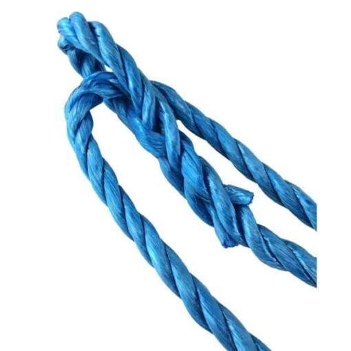 rs blue polypropylene plain rope halter 4