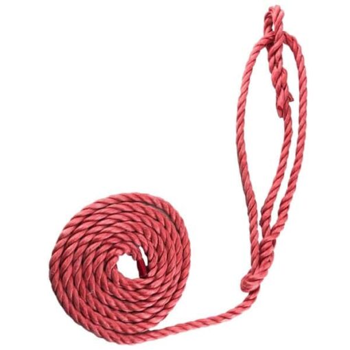 rs red polypropylene plain rope halter 2