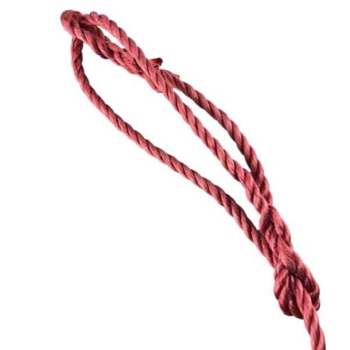 rs red polypropylene plain rope halter 3